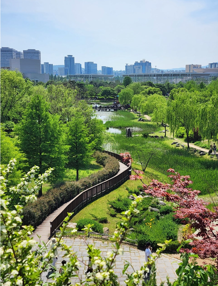 Daejeon, Korea Travel Guide