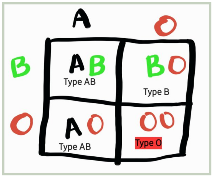 Blood Type Testing