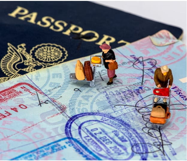 Korea Work Visa (E-7)