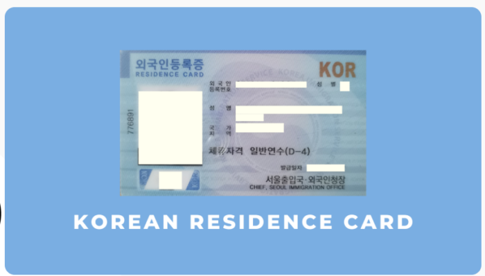 What to Do After Getting Your Korea Visa guide