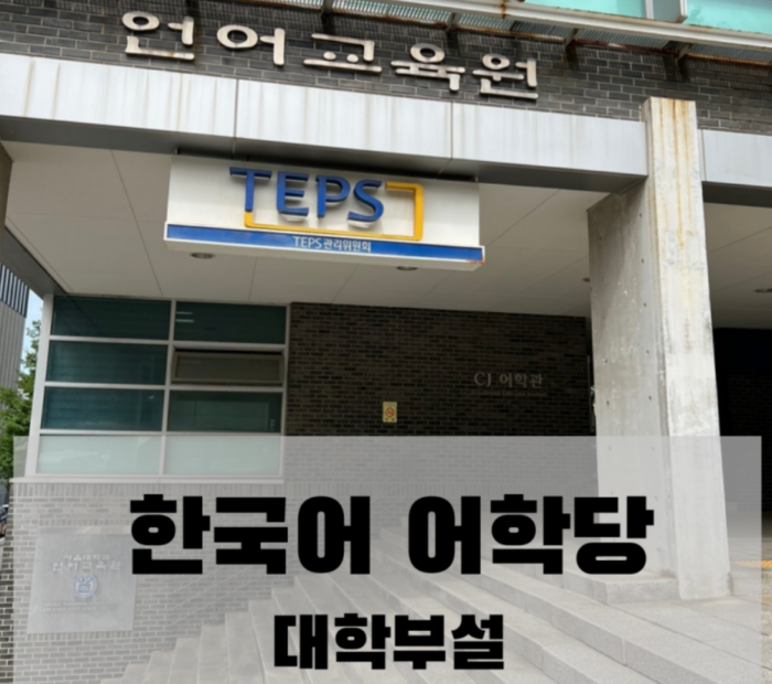 University-Affiliated Language Institutes: