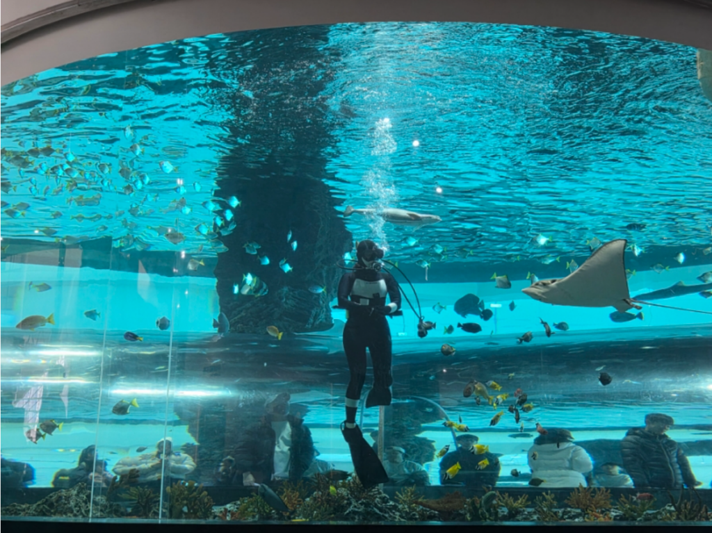 National Marine Museum with cylindrical aquarium and marine exhibits in Busan