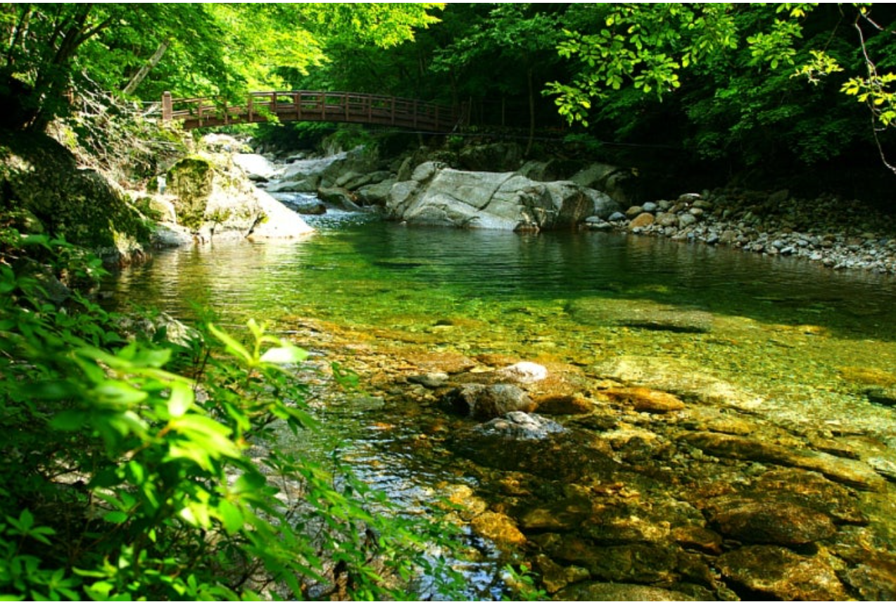 Baemsagol Valley hiking trail with clear stream in Jirisan National Park Korea